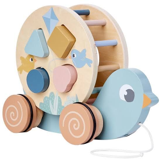 PASSARINHO DE PASSEAR CLOUDY 20883 - BUBA